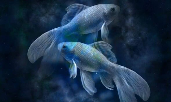 horoscop pesti