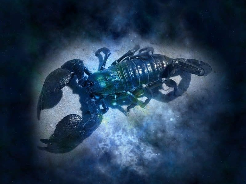 horoscop scorpion