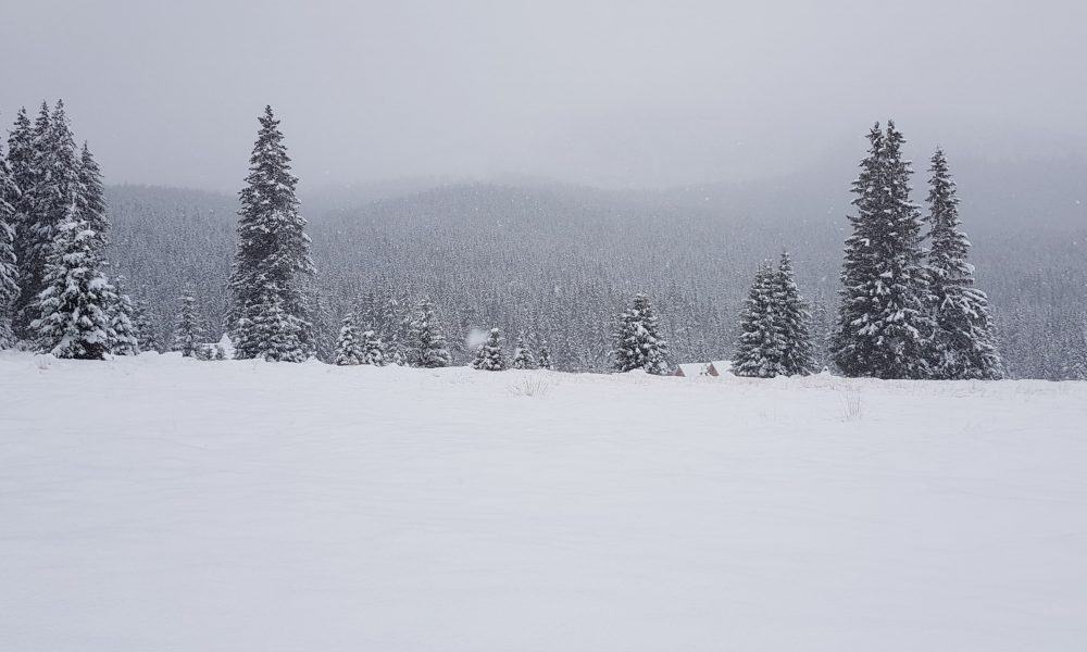 iarna zapada munte meteo vremea