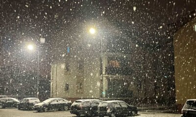 zapada iarna ninsoare