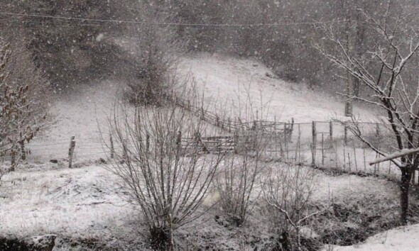 vremea in alba prognoza meteo