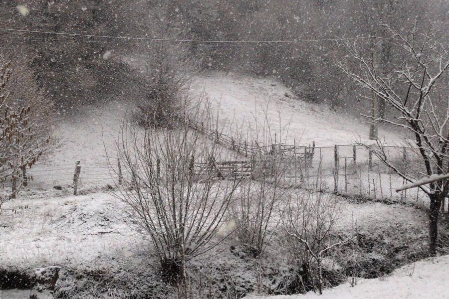 vremea meteo iarna zapada