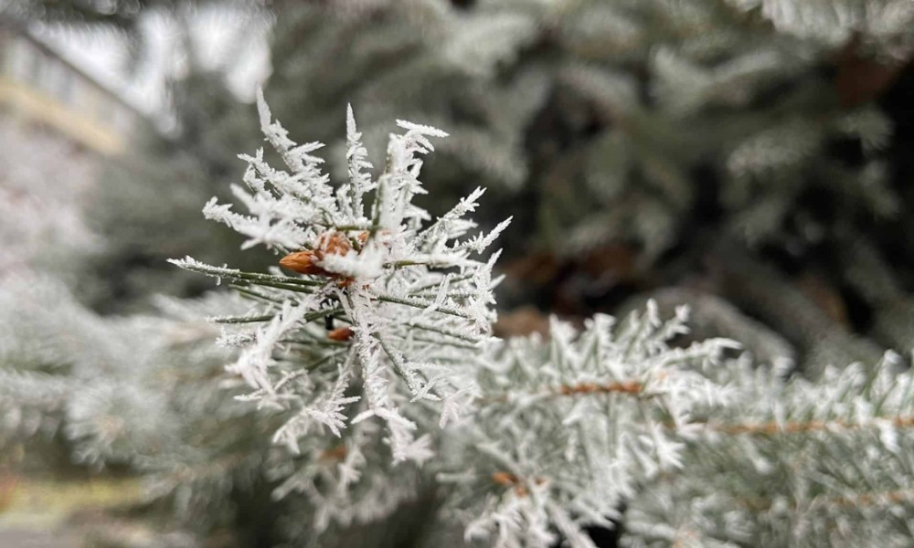 frig meteo vremea bruma vremea in rimania prognoza meteo