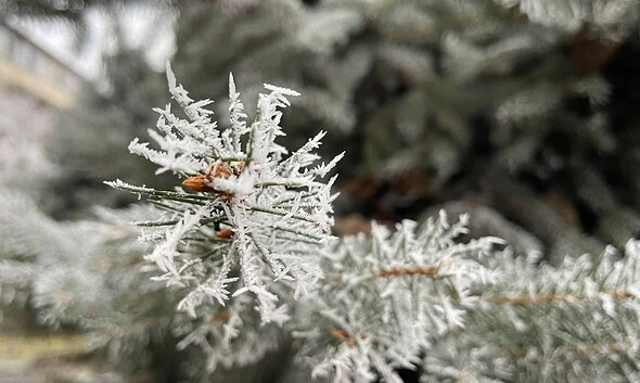 frig meteo vremea bruma vremea in rimania prognoza meteo