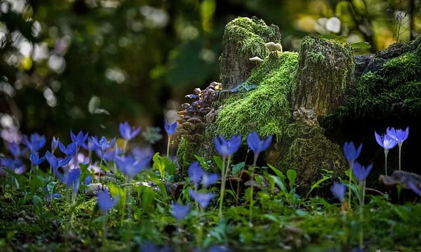 credit foto: Radu Lupu