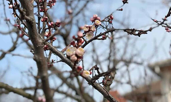 prognoza meteo vremea primavara aprilie prognoza meteo pe patru saptamani