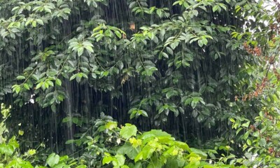 vremea în Alba în weekend meteo