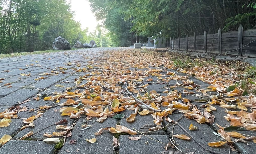 toamna vreme vremea parc vremea in romania prognoza meteo pe regiuni