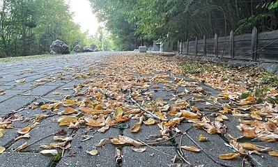 toamna vreme vremea parc vremea in romania prognoza meteo pe regiuni