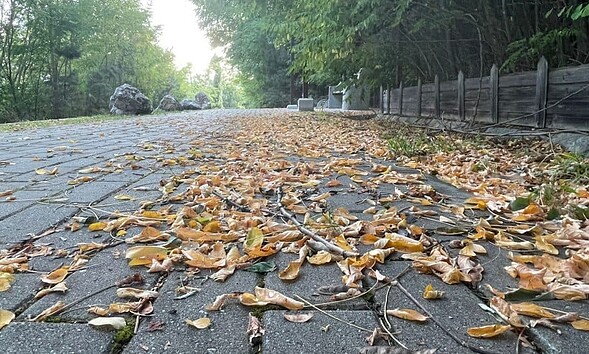 toamna vreme vremea parc vremea in romania prognoza meteo pe regiuni