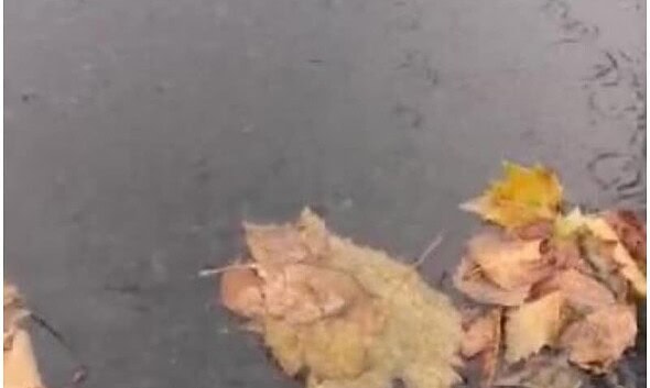 toamna ploaie frunze noiembrie vremea meteo prognoza meteo octombrie