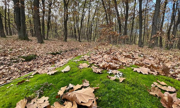 prognoza meteo pe regiuni vremea