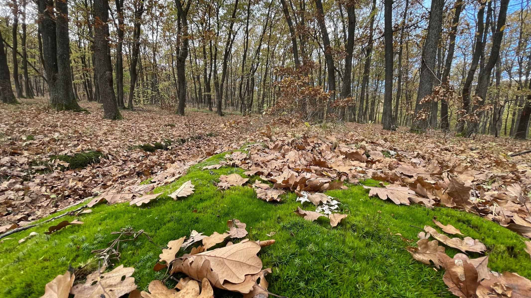 prognoza meteo pe regiuni vremea