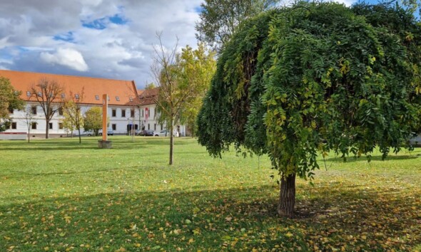 toamna frunze vremea meteo