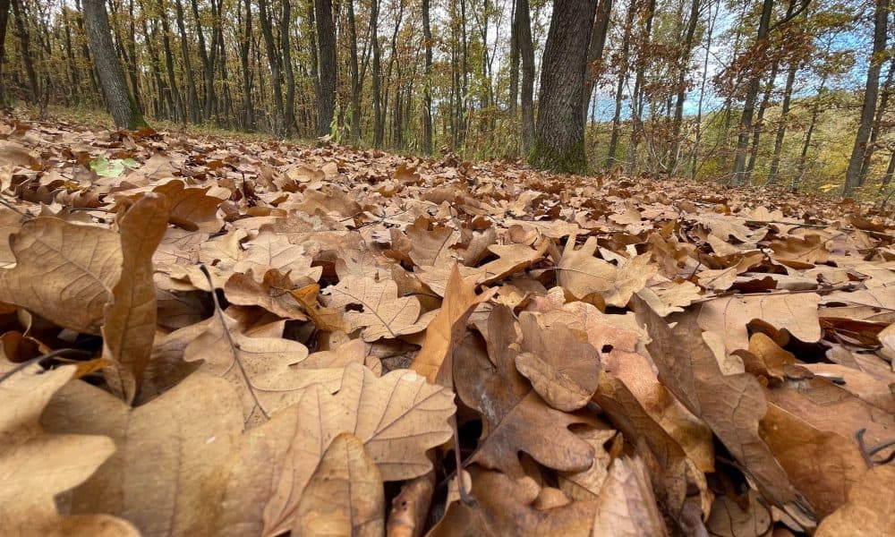 toamna vremea meteo saptamana prognoza meteo septembrie