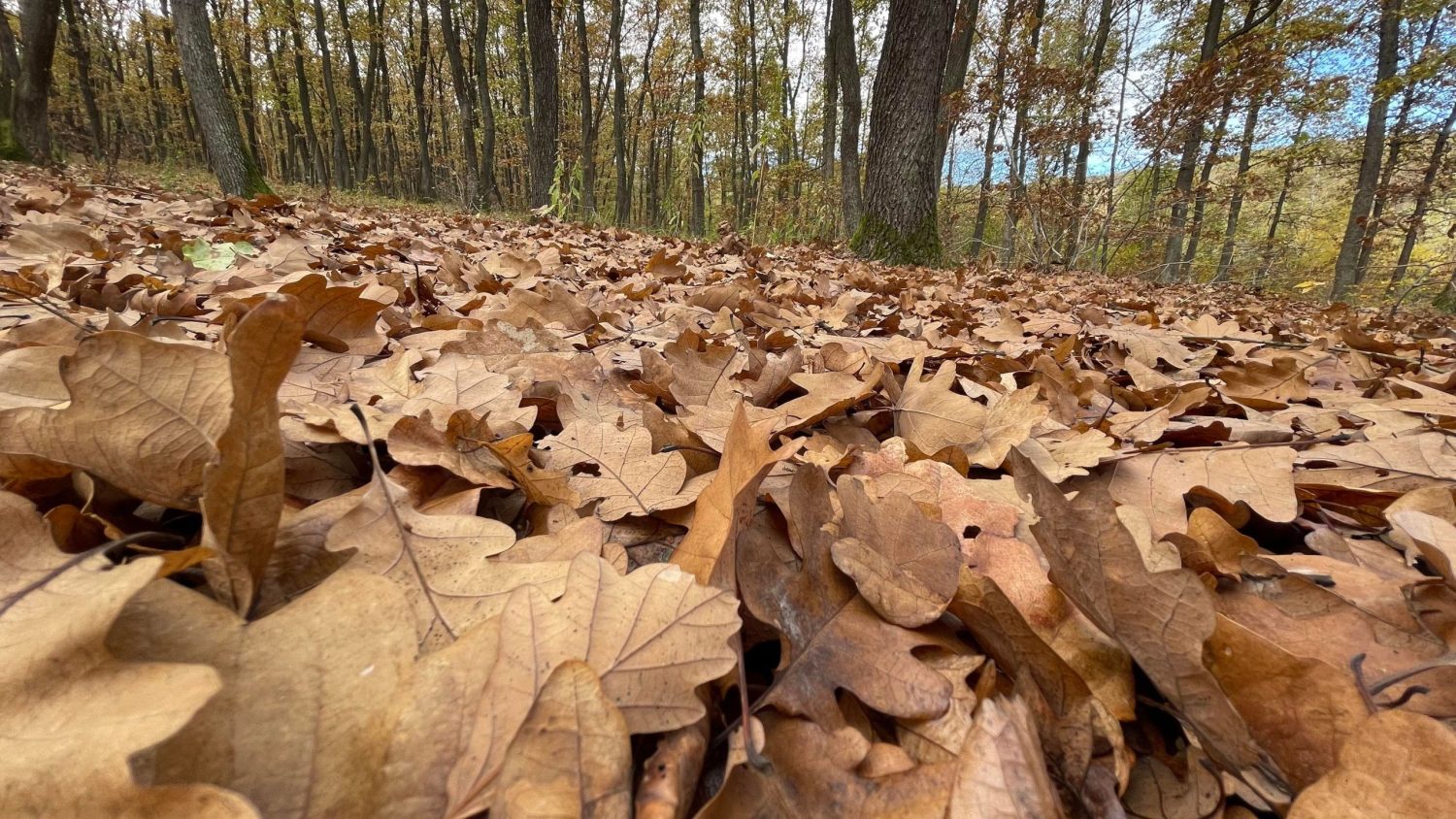 toamna vremea meteo saptamana prognoza meteo septembrie