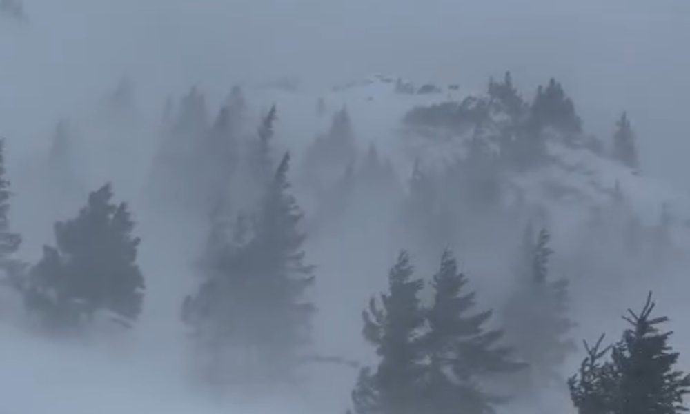 viscol munte sursa foto salvamont meteo vremea