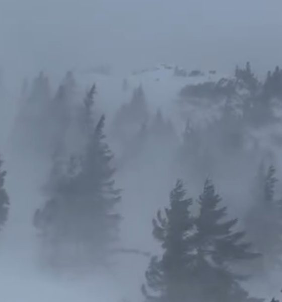 viscol munte sursa foto salvamont meteo vremea