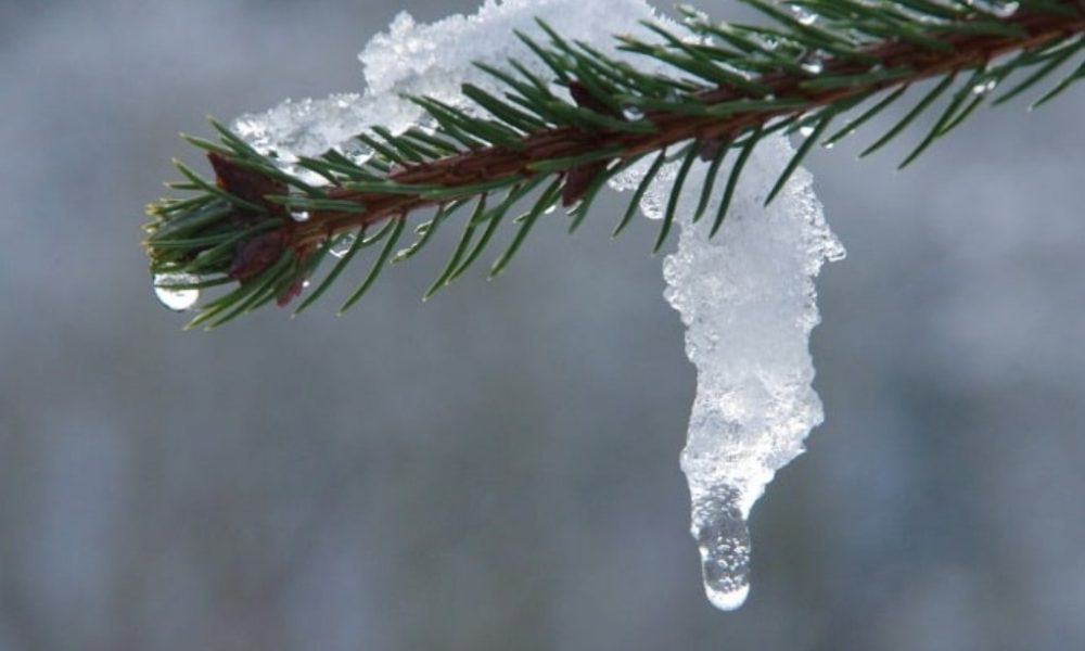 vremea meteo in alba decembrie