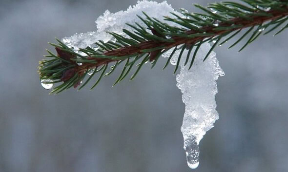 vremea meteo in alba decembrie