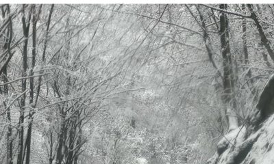 vremea in alba de revelio