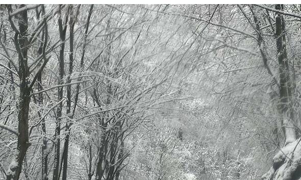 vremea in alba de revelio