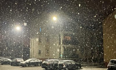 ninge ninsoare iarna zapada alba24