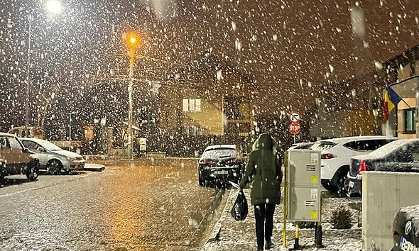 Ninge în județul Alba