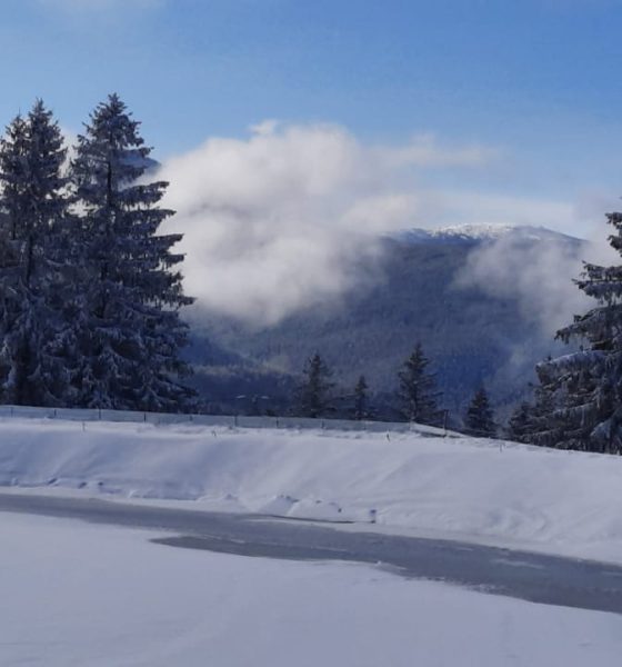 vremea meteo iarna prognoza meteo