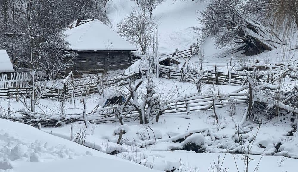 zapada iarna sursa alba24