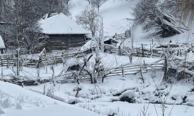 zapada iarna sursa alba24