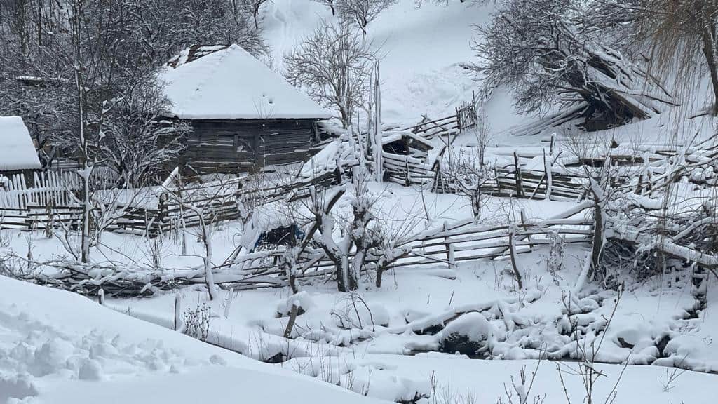 zapada iarna sursa alba24