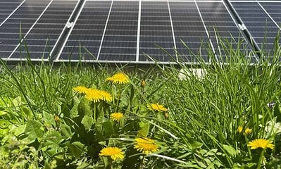 panouri fotovoltaice