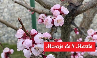 mesaje de 8 martie