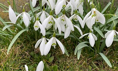 vremea in alba prognoza meteo