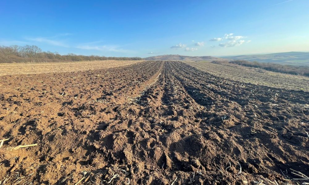 Cât costă un hectar de teren arabil