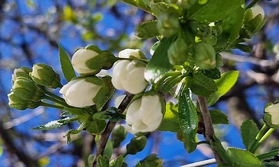 Echinocțiul de primăvară 2025