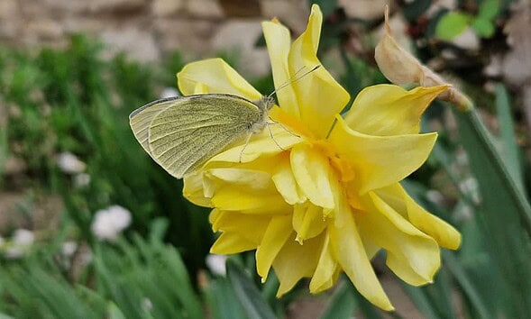 soare vremea primavara meteo