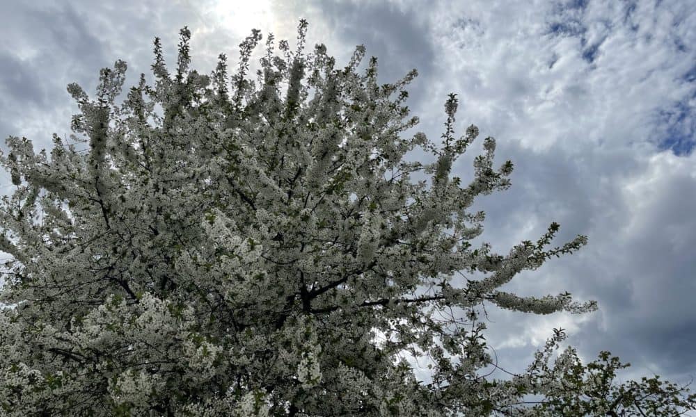 nori meteo vremea prognoza