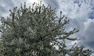 nori meteo vremea prognoza