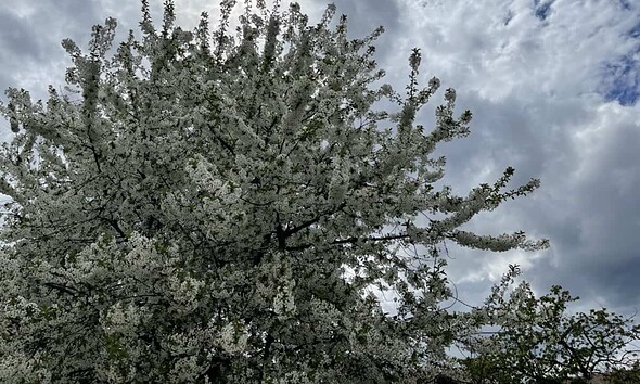 nori meteo vremea prognoza