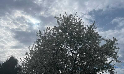 vremea primavara aprilie progoza meteo alba