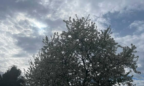 vremea primavara aprilie progoza meteo alba