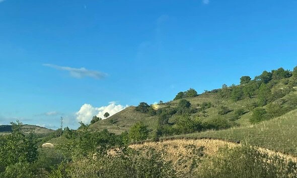 vremea alba prognoza meteo