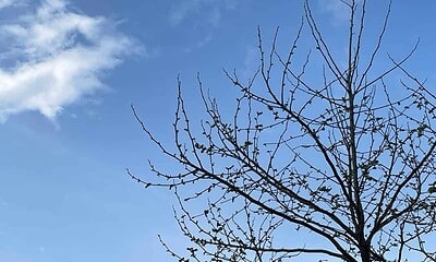 vremea meteo primavara aprilie prognoza