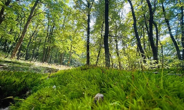 Unde să fugi de caniculă, în Alba