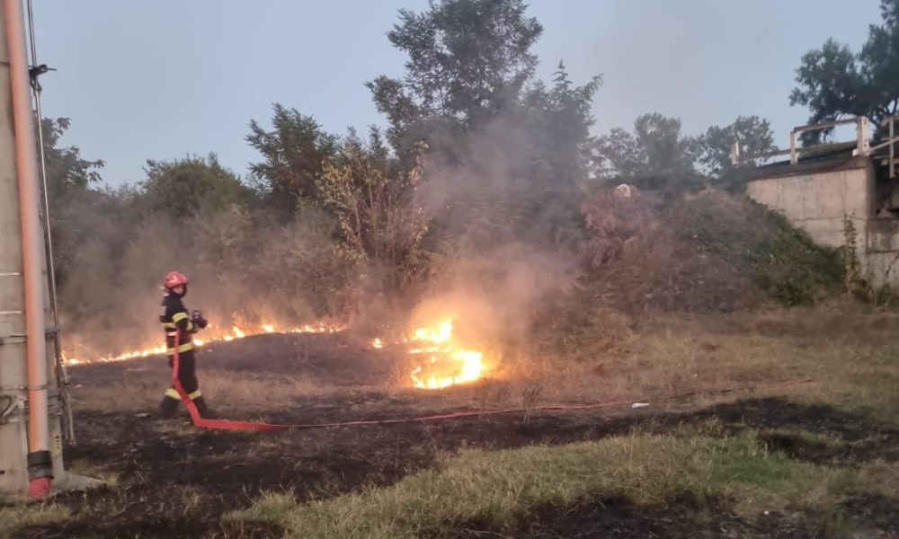 Incendiu de vegetație la Râpa Roșie din Sebeș: Intervin pompierii pentru stingerea focului