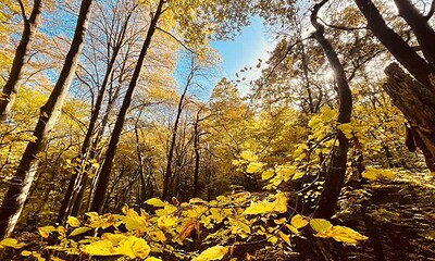 vremea in alba prognoza meteo