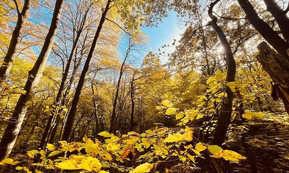 vremea in alba prognoza meteo
