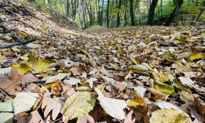 vremea in alba noiembrie prognoza meteo